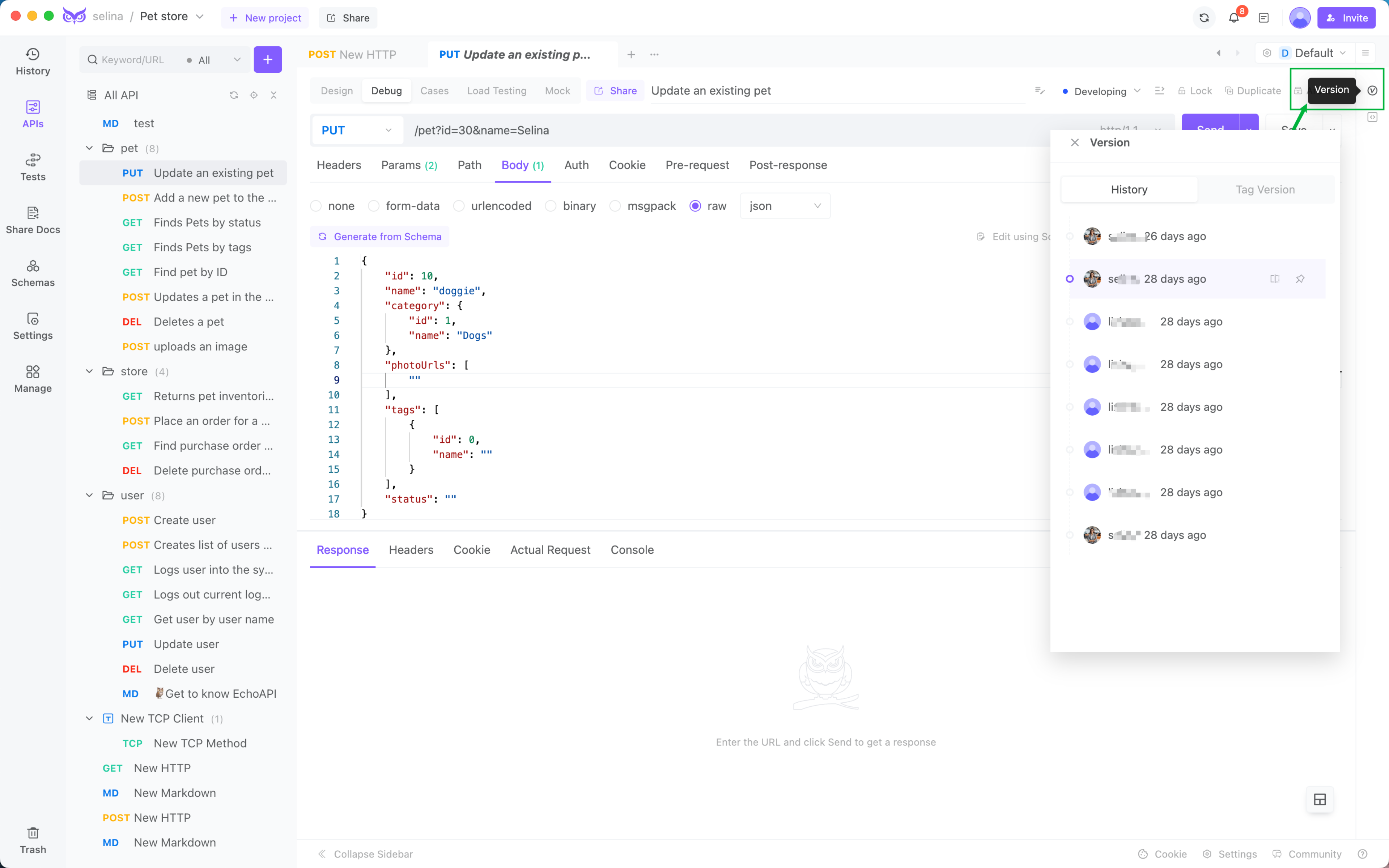 Historical Version Tracking in EchoAPI.png