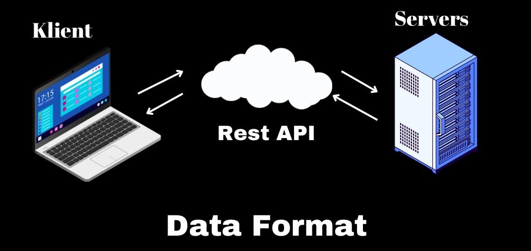 Data Formats.png