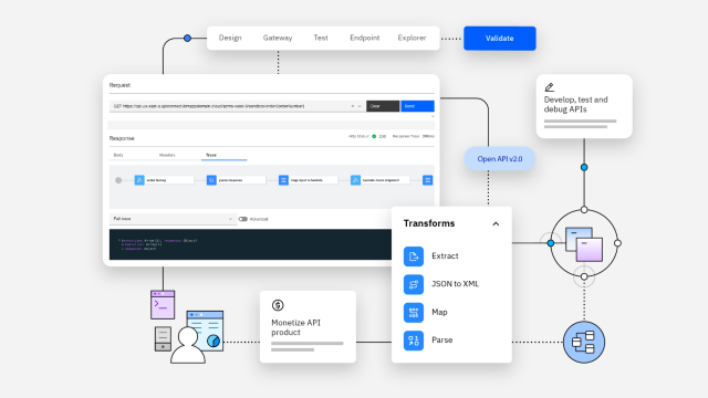 IBM API Connect