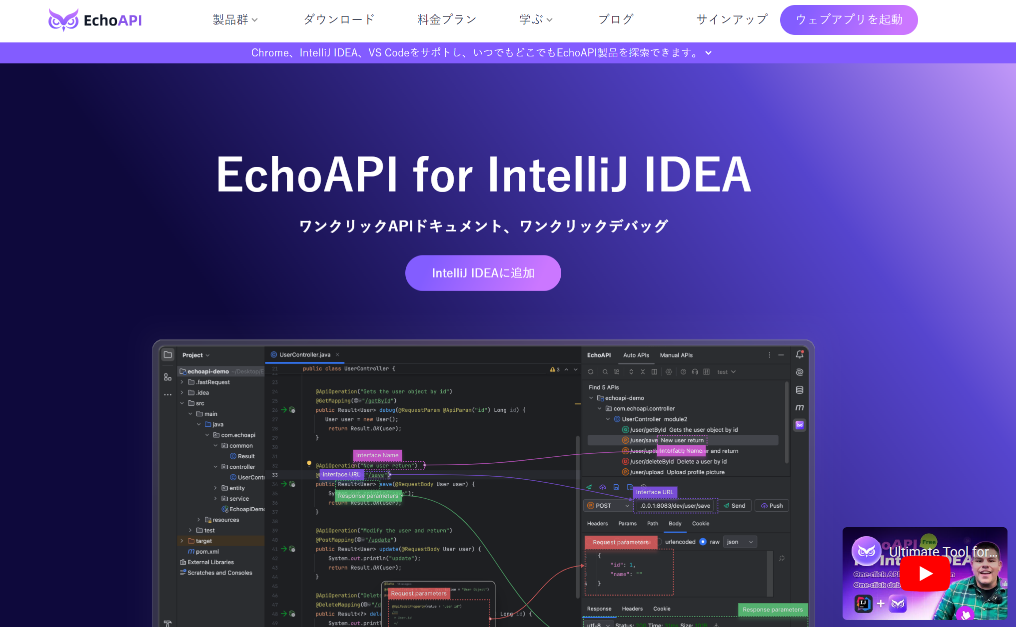 EchoAPI for IntelliJ IDEA.png