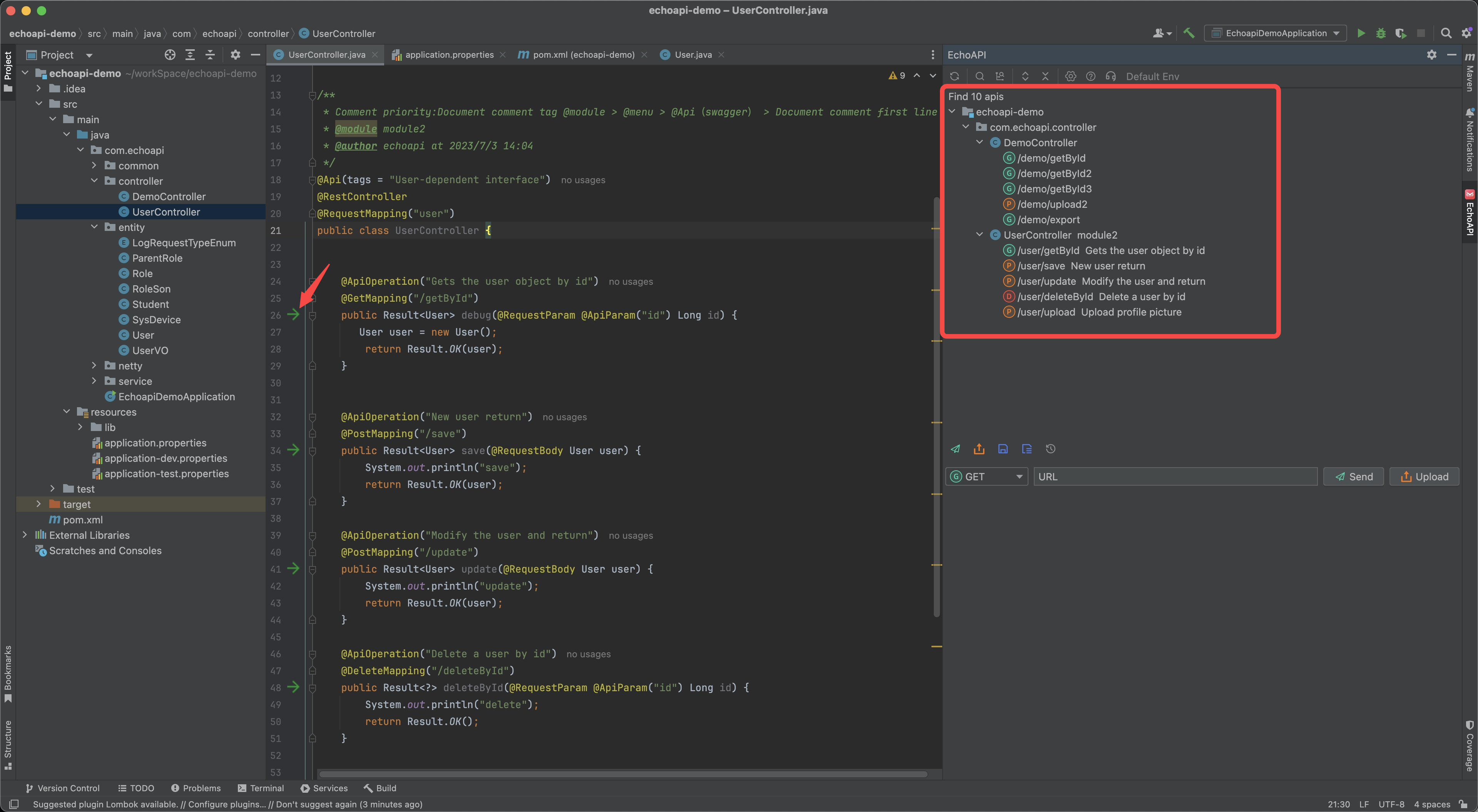 EchoAPI for IntelliJ IDEA.png